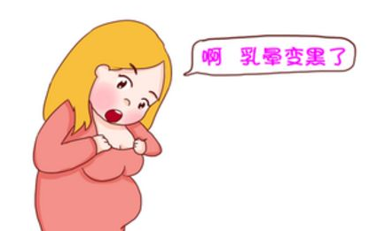 乳腺貼廠家.png