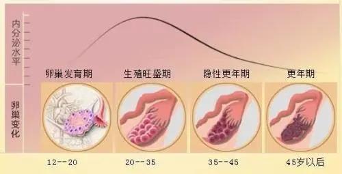 婦科凝膠加工廠家