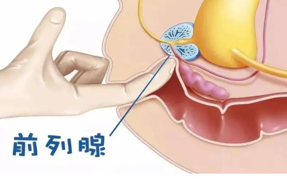 前列腺凝膠定制廠家