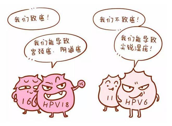 hpv凝膠廠家