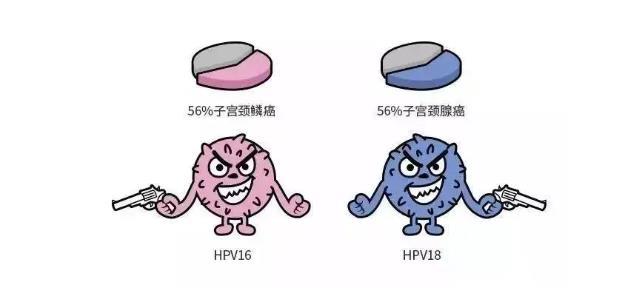 HPV凝膠廠家