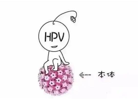 HPV凝膠定制工廠